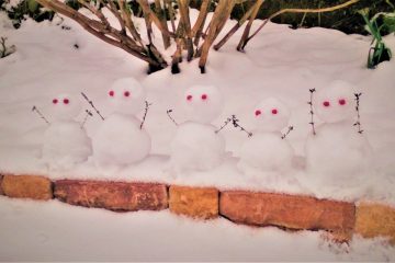 雪が積もったので